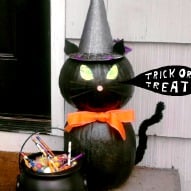 Halloween Pumpkin Display Craft, Halloween craft, Black Cat craft for Halloween, Halloween Pumpkin Decorating Ideas, A fun thing to do with kids, A fun thing to do with kids in Connecticut