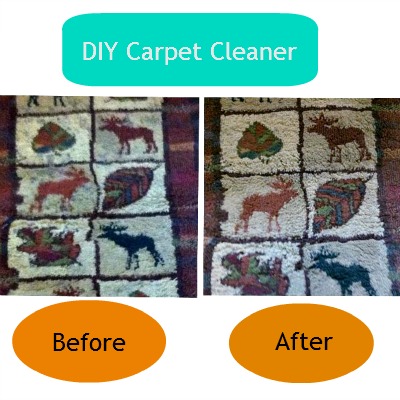 DIY Carpet Cleaner