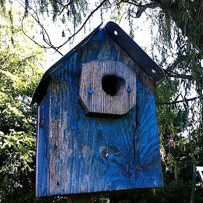 Upcycle An Old Birdhouse With A Old License Plate For A Roof! Beautiful!