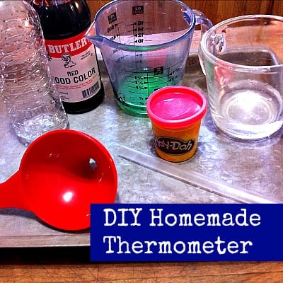 DIY Homemade Thermometer. Cool science project with the kids!
