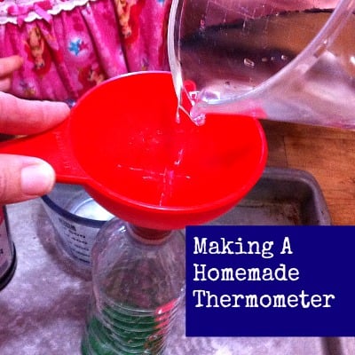 DIY Homemade Thermometer. Cool science project with the kids!