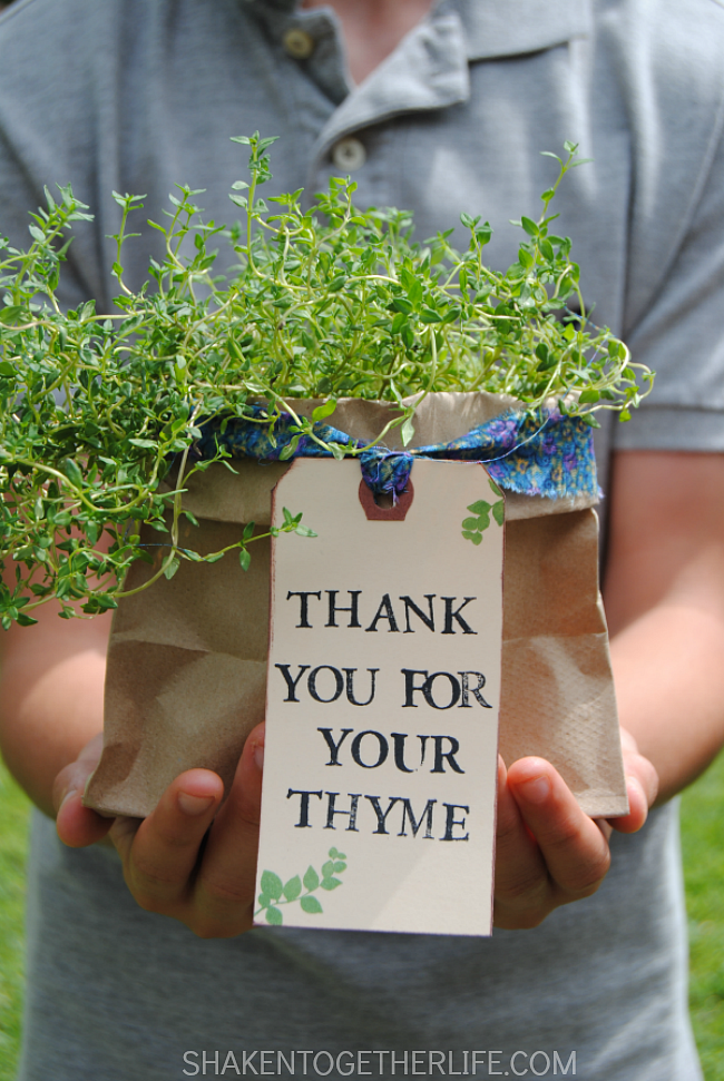 herb garden teacher gift