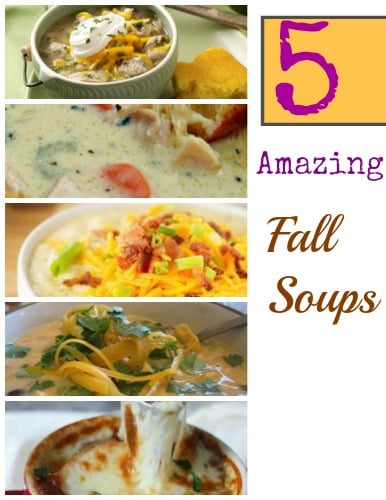 A round-up of oh so delicious looking SOUP Recipes!!!! Yum!