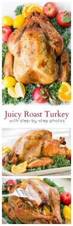 Mouth Watering Turkey Recipes that are sure to wow all of your guests at Thanksgiving, and Christmas