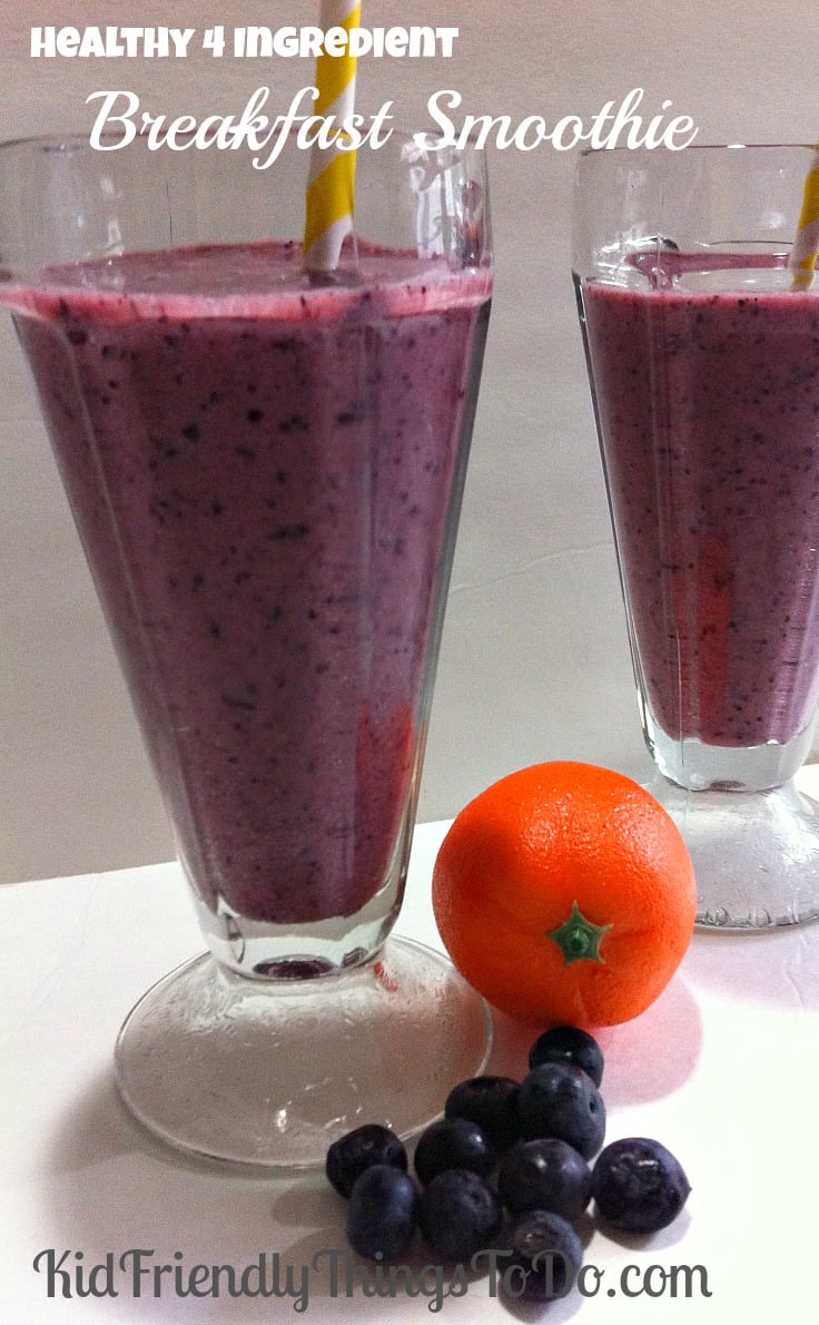 Healthy Four Ingredient Blueberries and Orange Juice Breakfast Smoothie! Delicious, and Nutritious! 