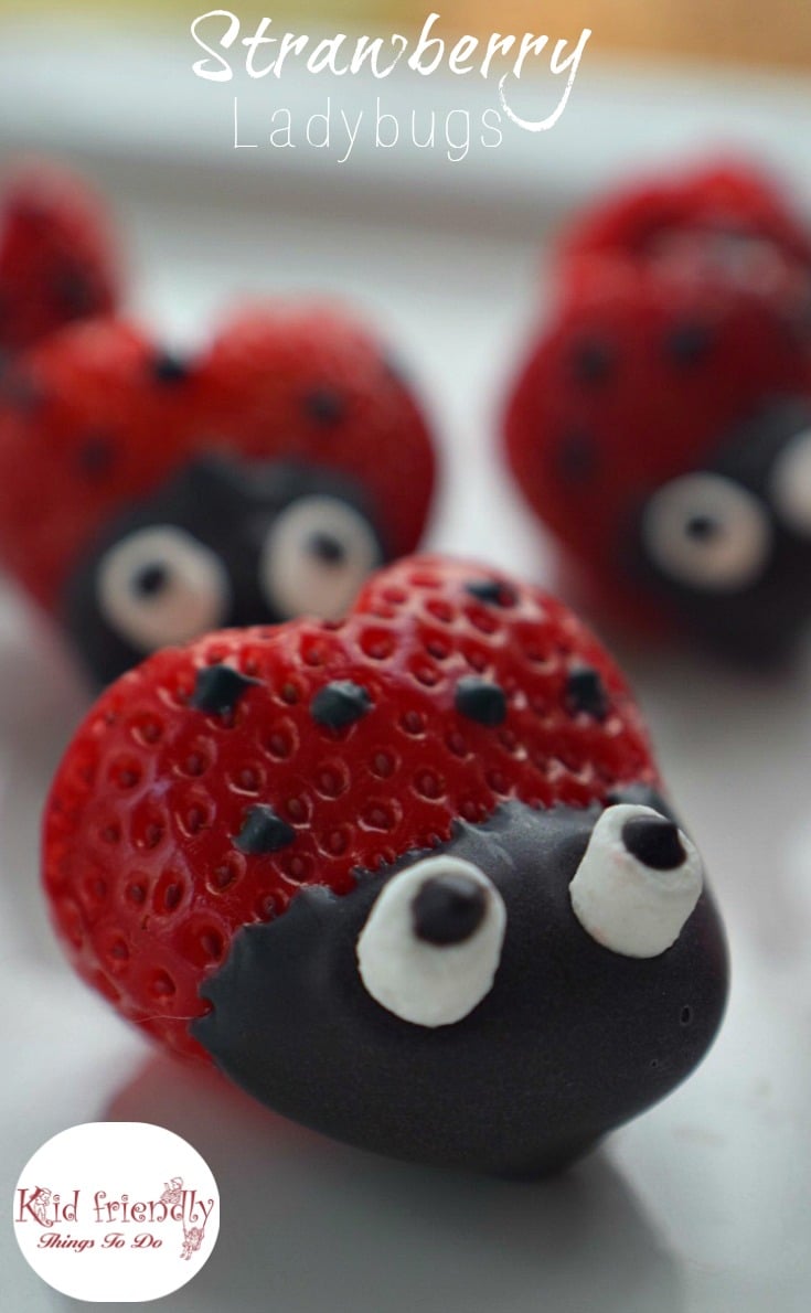 Heart shaped Chocolate Covered Strawberry Ladybugs for a fun food treat on Valentine's Day, Spring, Summer, Fairy Garden Parties or any day! Easy, Fun and delicious. Kids love 'em! www.kidfriendlythingstodo.com