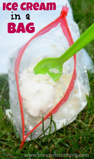 ice cream in a bag