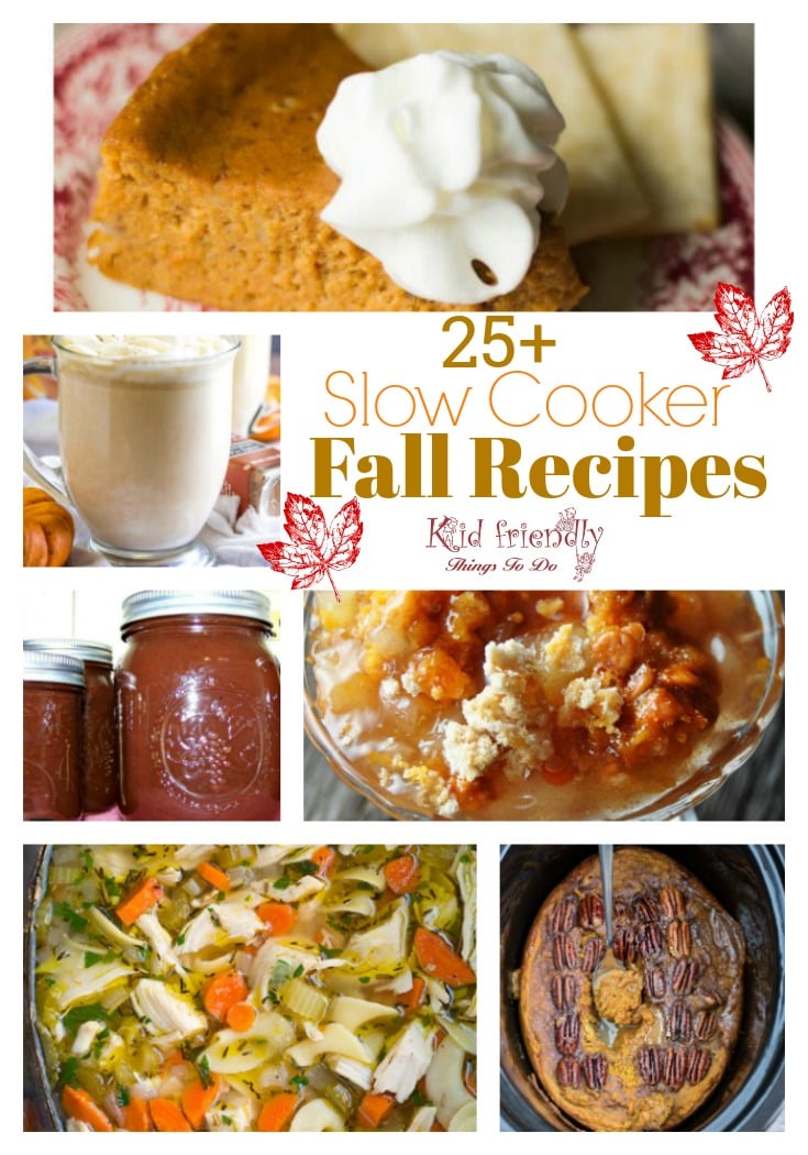 Over 25 Delicious Looking Fall Slow Cooker Recipes to Try - Crockpot recipes to warm you up and feed your soul this fall! spice, pumpkin recipes, drinks, apple recipes, soup , and dinner www.kidfriendlythingstodo.com