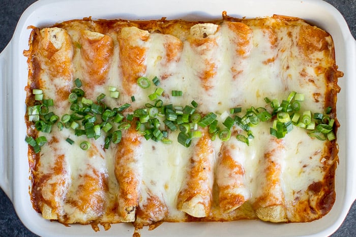 chicken enchilada recipe