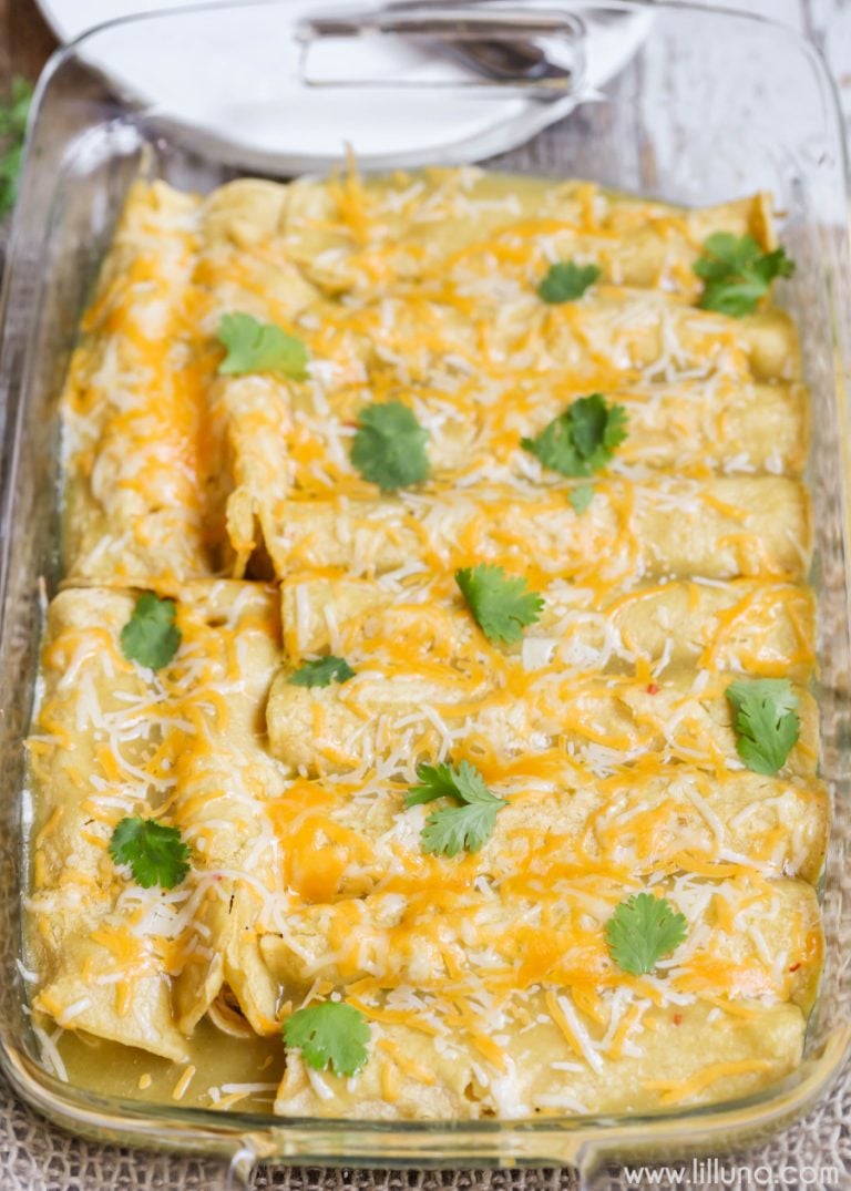 green sauce and chicken enchilada