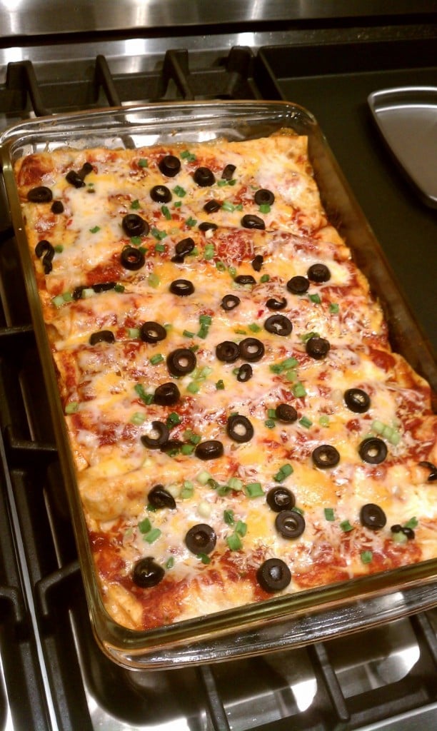 easy chicken enchilada