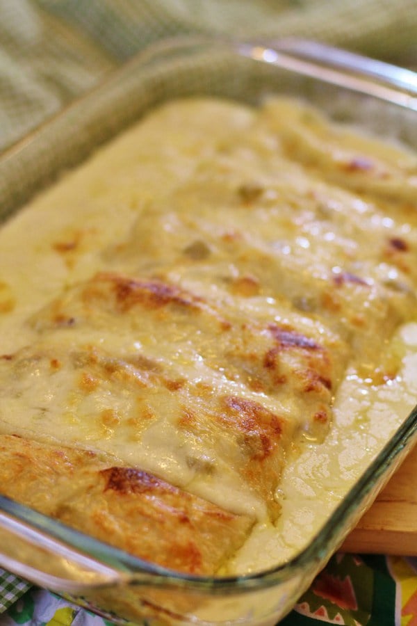 enchilada recipe white chicken