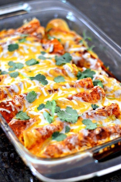 chicken enchilada recipe with red sauce