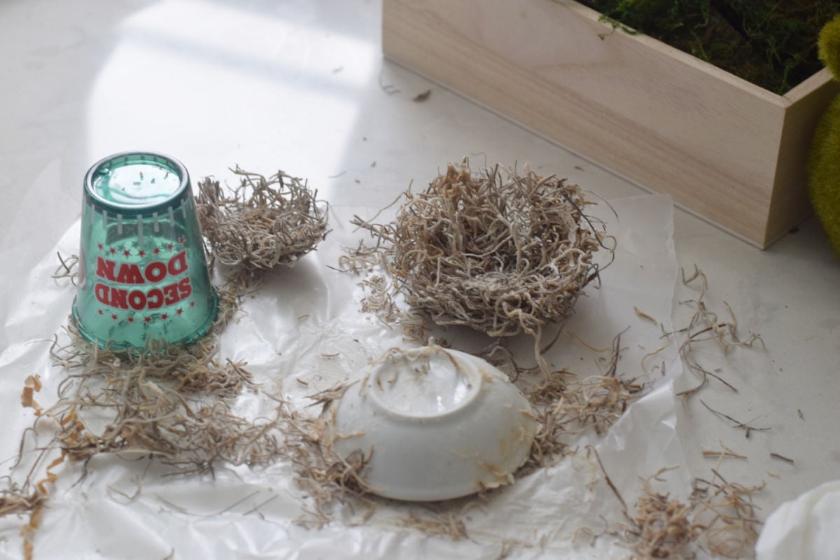 Spanish moss bird nest craft 