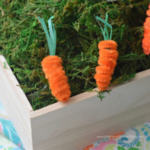 pipe cleaner carrots