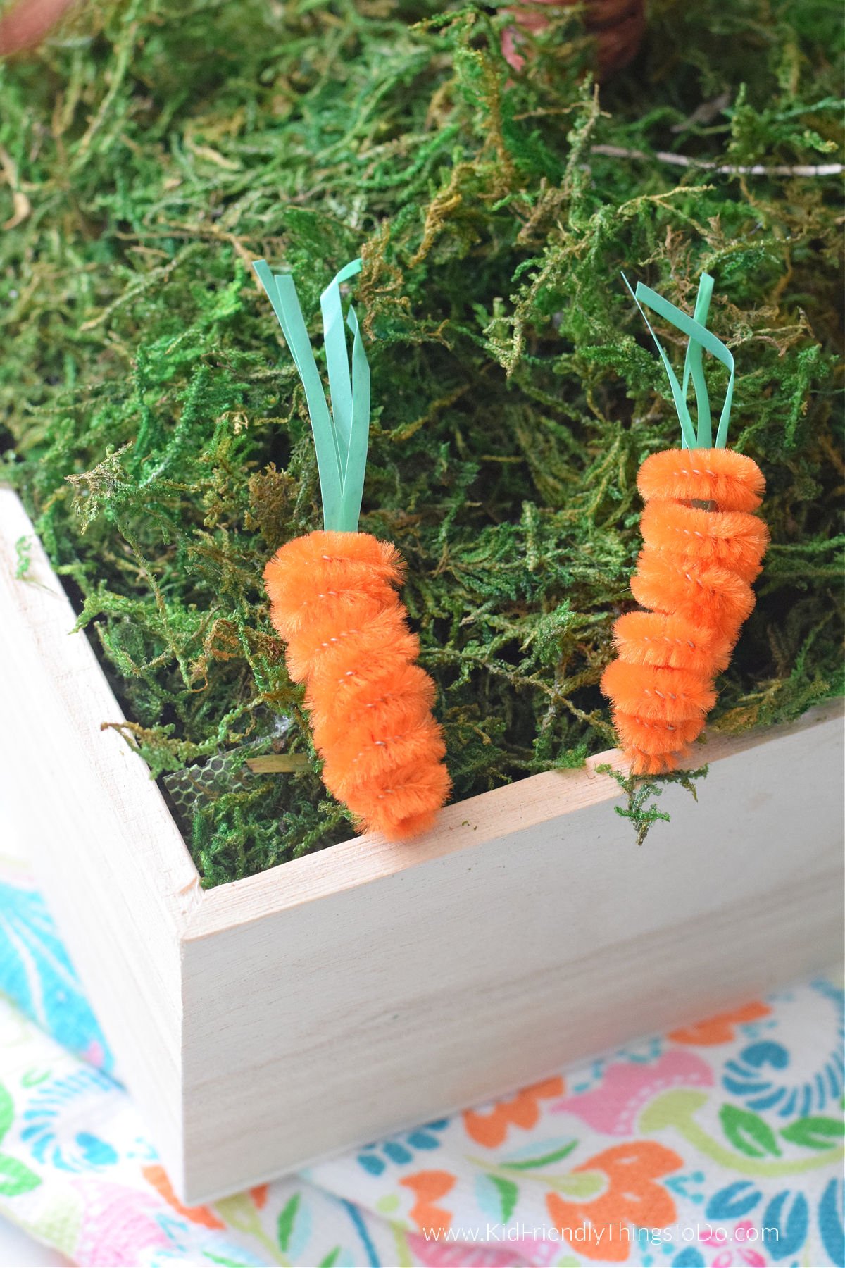 pipe cleaner carrots 