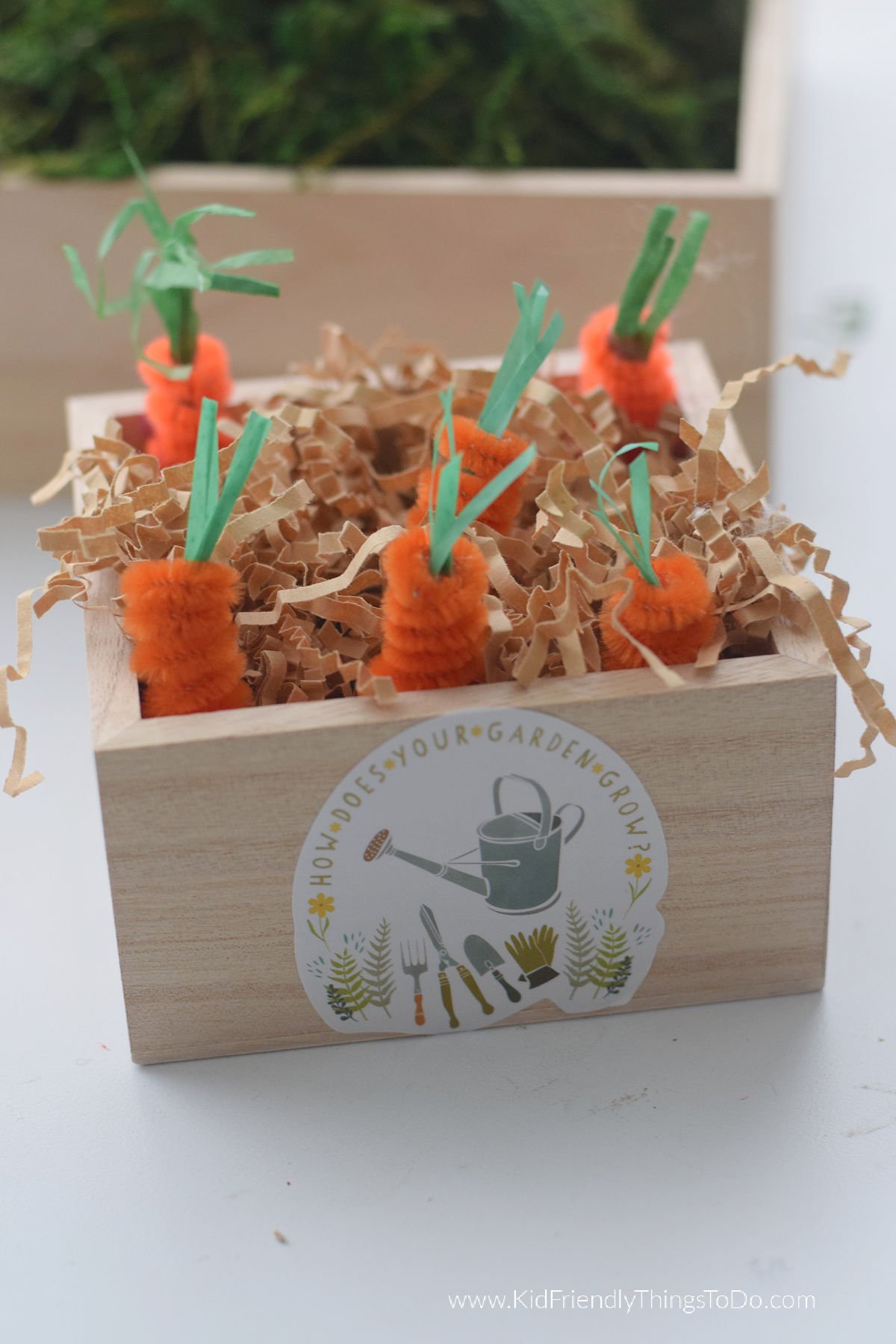garden of carrots craft 