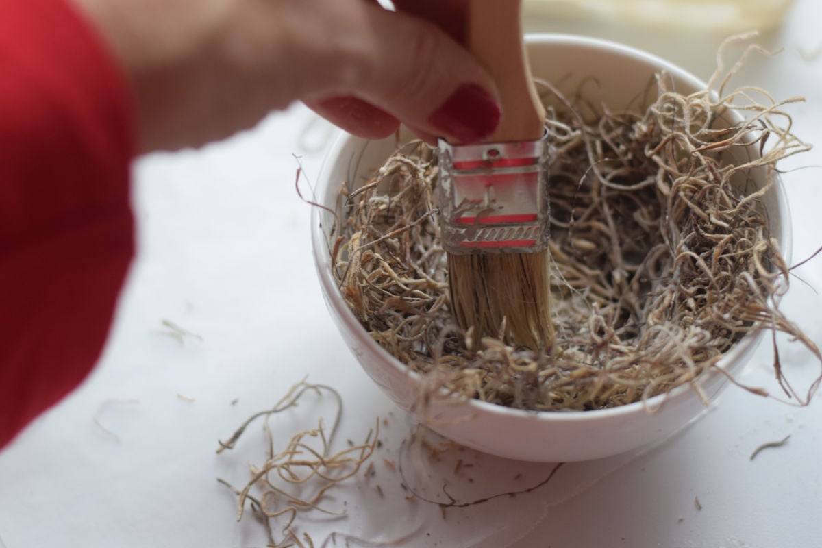 making Spanish moss bird nest 