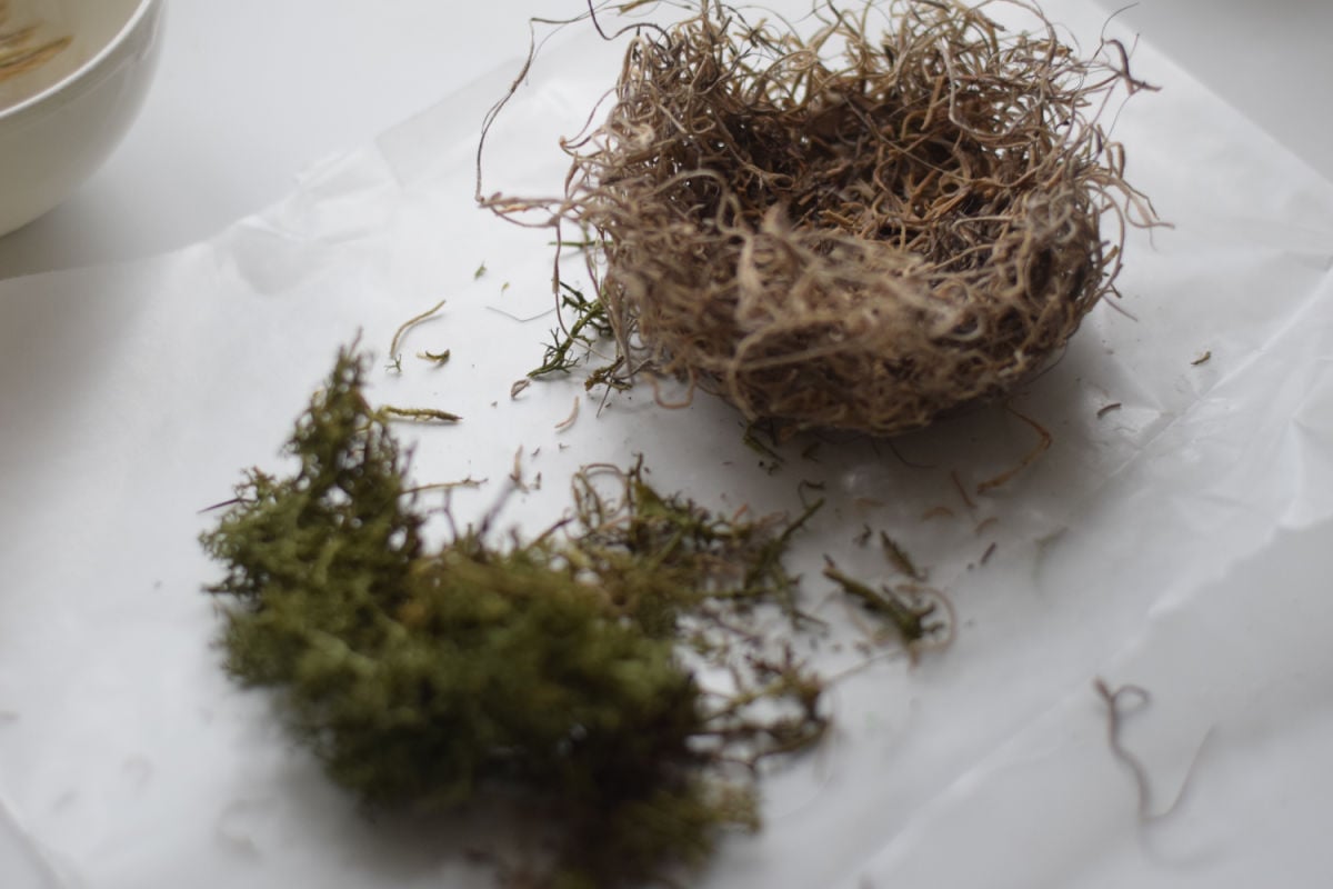 making Spanish moss bird nest 