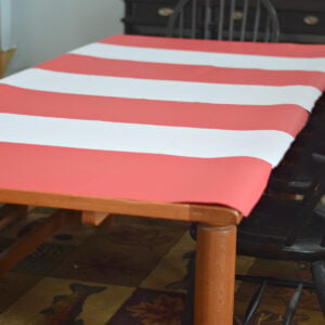 cat in the hat tablecloth idea