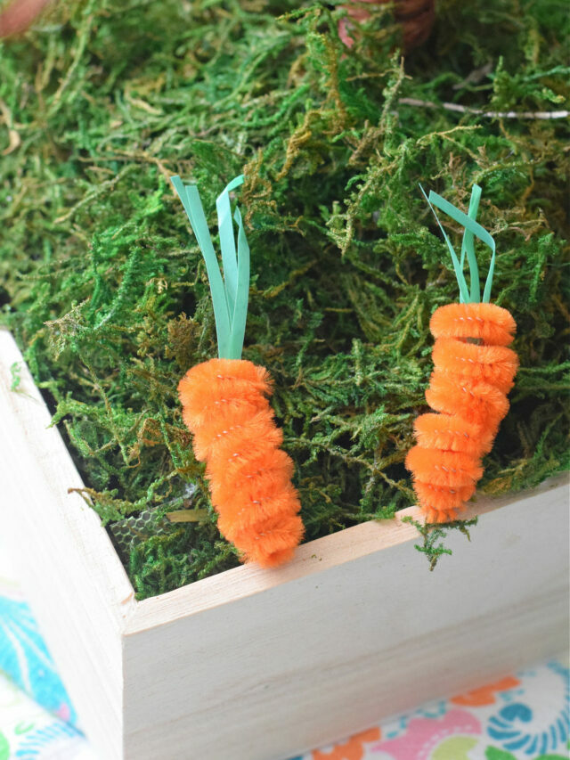 Pipe Cleaner Carrot Craft – Story