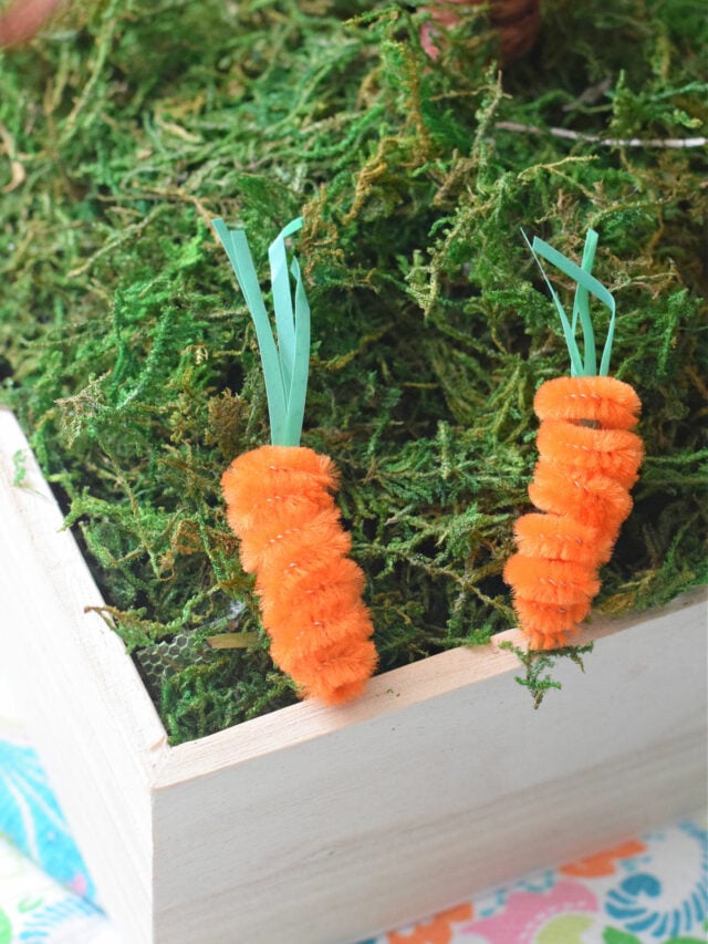 pipe cleaner carrots