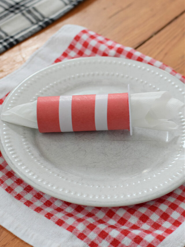 cat in the hat napkin holder craft