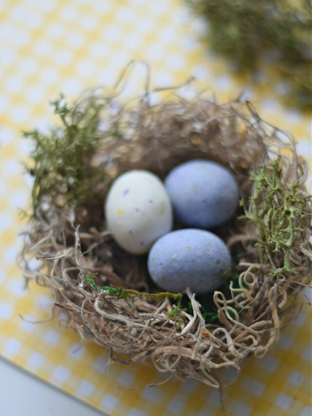 Spanish Moss Bird Nest Craft – Story