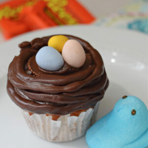 Bird Nest Easter cupcake