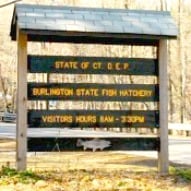 The DEP Fish Hatchery In CT  Review