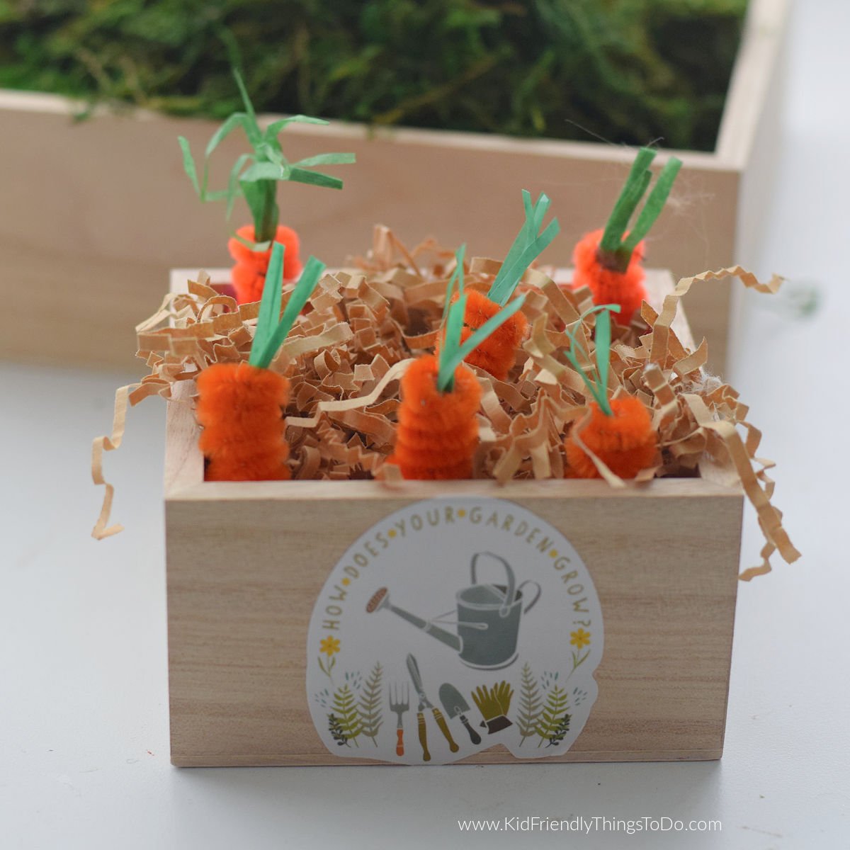 pipe cleaner carrot garden