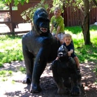 A fun thing to do with kids near Connecticut Review, A kid friendly thing to do near Connecticut Review, A fun thing to do with kids in MA Review, A family zoo near Connecticut Review, A family zoo in MA Review, Petting Zoo near CT Review, petting zoo in MA Review,