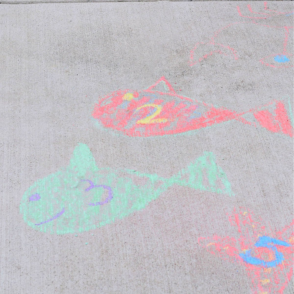 chalk fish 
