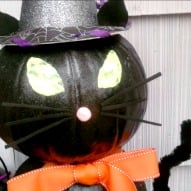 Make A Black Cat Out Of Pumpkins For Halloween - A Fun Thing To Do With ...