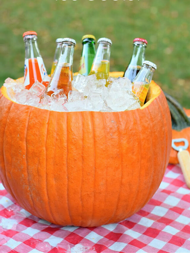 DIY Pumpkin Ice Cooler – Story