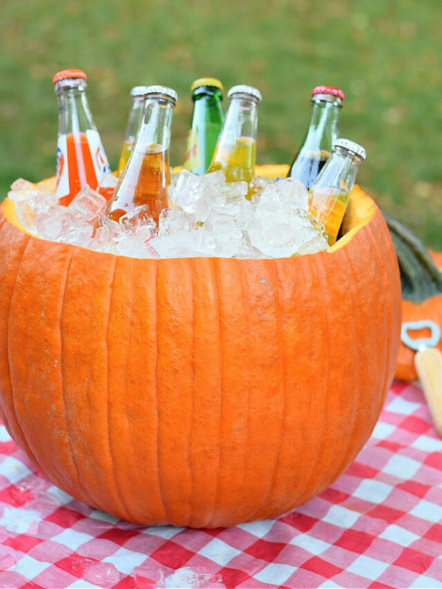 How to Make a Pumpkin Ice Cooler – Story