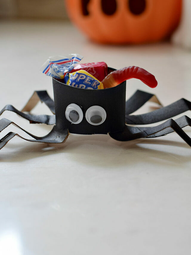 Toilet Paper Tube Spider – Story