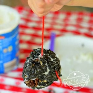 How to Make a Pine Cone Bird Feeder – An Easy Craft Idea for Home | Kid Friendly Things To Do