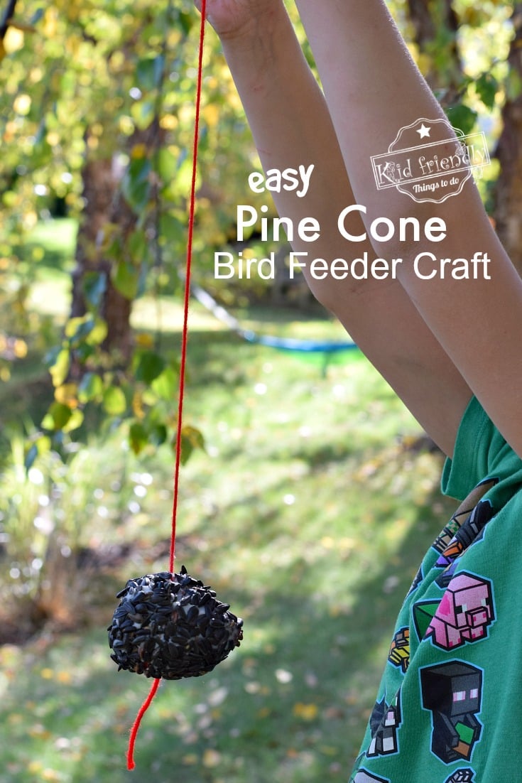 How to make a DIY bird feeder out of a pine cone