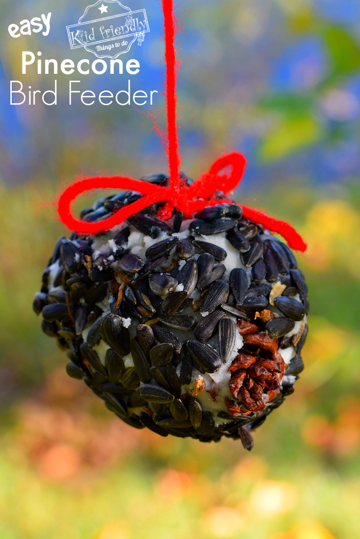 pine cone bird feeders with shortening