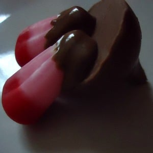 Chocolate Covered Valentine or Christmas Mice