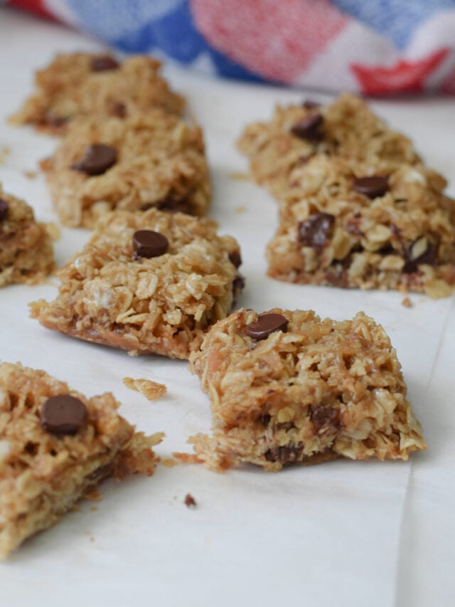 Chewy Oatmeal Bar Cookies – Story