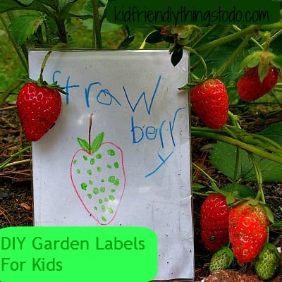 DIY garden label for kids