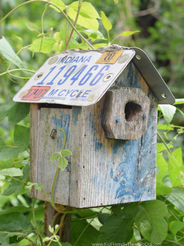 Birdhouses with License Plate Roofs – Story