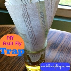 homemade fruit fly trap