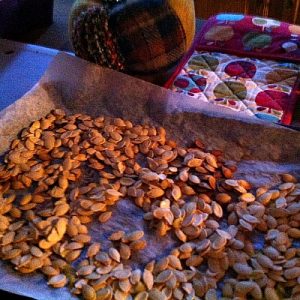 toasted pumpkin seeds