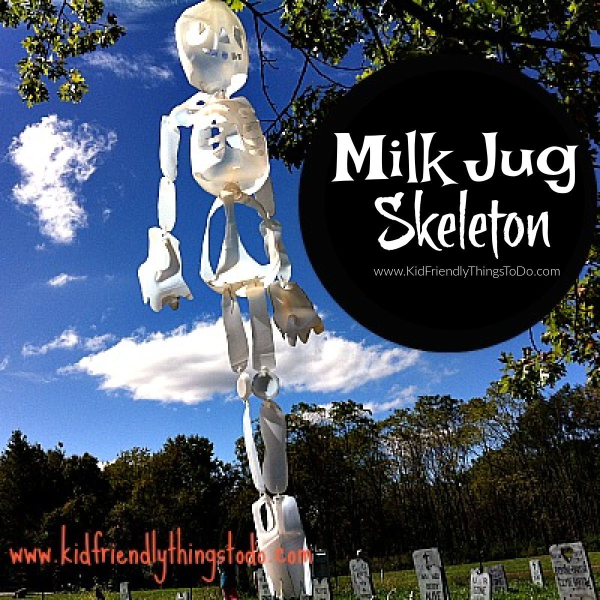 milk jug skeleton