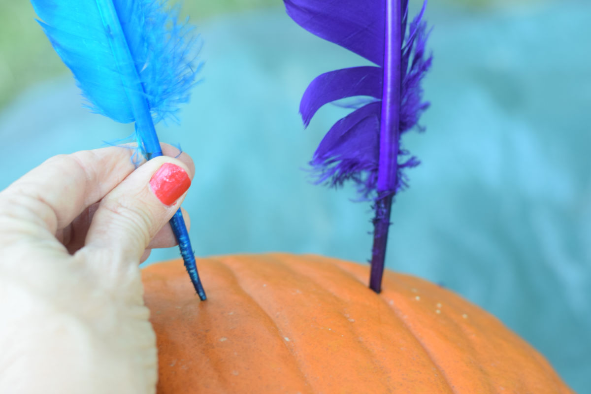 pushing feathers into pumpkin