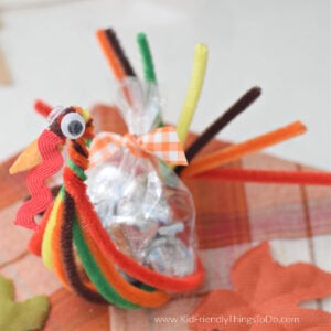 pipe cleaner turkey craft