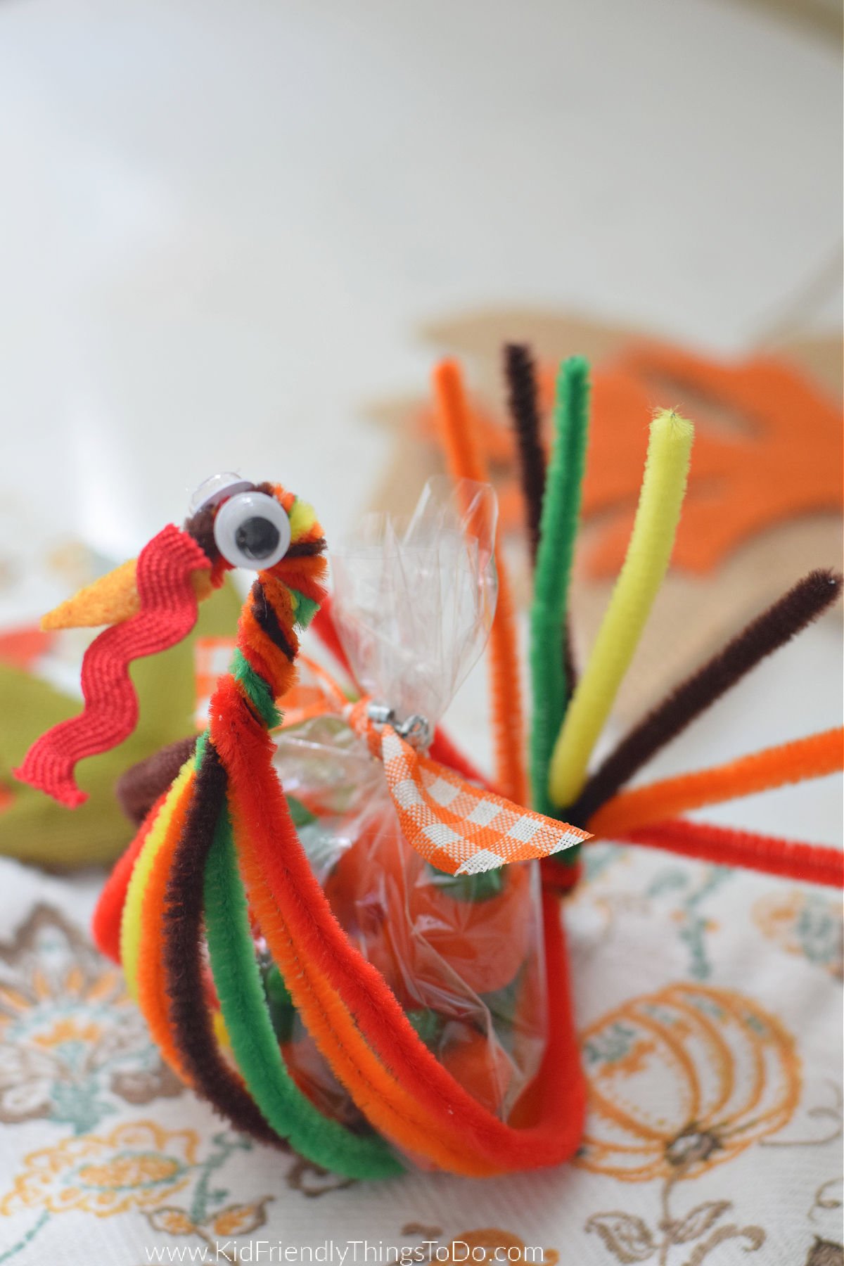 pipe cleaner turkey craft 